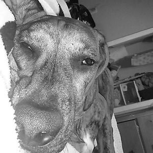 Meet your Posher, Meaghan